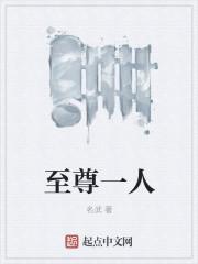 至尊一人