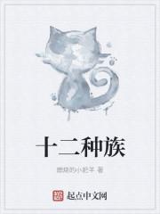 十二种族