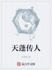 天蓬传人