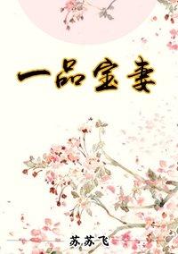 一品宝妻