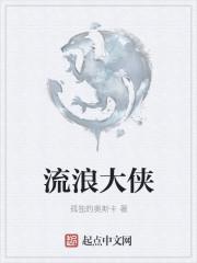 流浪大侠