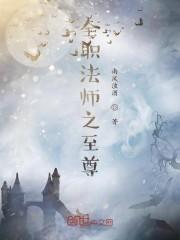 全职法师之至尊