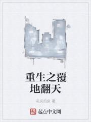 重生之覆地翻天