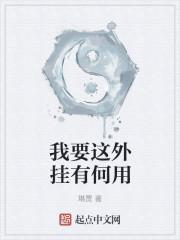 我要这外挂有何用
