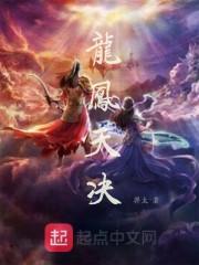 龙凤天决