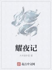 耀夜记