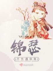 锦瑟不负遇华年