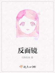 反面镜