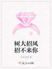 树大招风招不来你