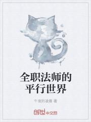 全职法师的平行世界