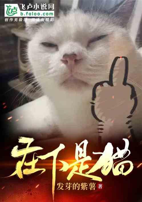 在下是猫