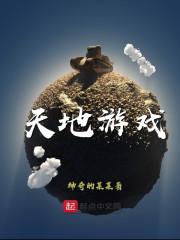 天地游戏